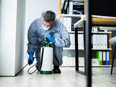 Pest Control For Office Buildings | Las Vegas, NV | Flatliners Pest Control